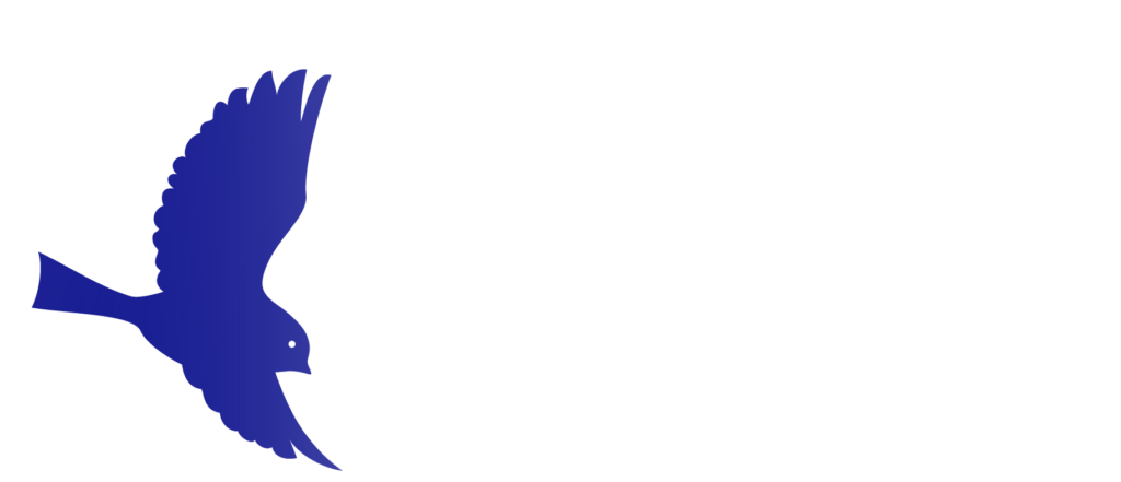 Sparrow Film